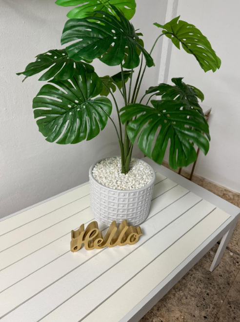 Flores decorativas para el hogar en Miami