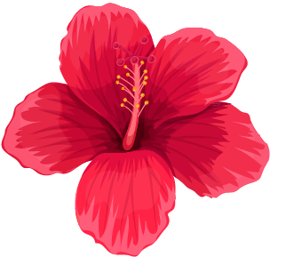 Flores - Floristeria -Arreglos Miami Las izaguirre